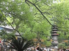 -普陀山风景名胜区-法雨禅寺