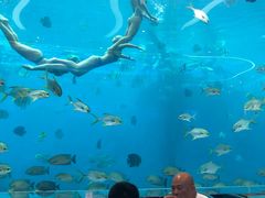 -瑞德姆美人鱼海底演艺主题餐厅(亚龙湾店)