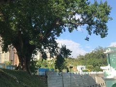 -龙环葡韵住宅式博物馆