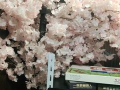 -白兔子密室(长寿路店)