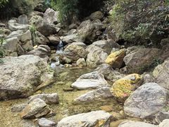 -南海湾森林生态园
