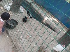 -廊坊市自然公园
