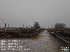-东仔·东北小酒馆(新乐店)