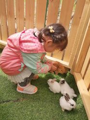 -萌宠亲子动物乐园(槐房万达店)