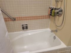 -新加坡雅庭假日酒店