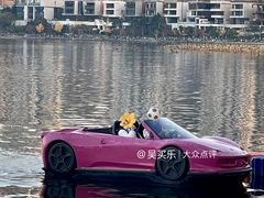-梅溪湖城市岛