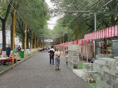 -哈尔滨道外花鸟鱼市场