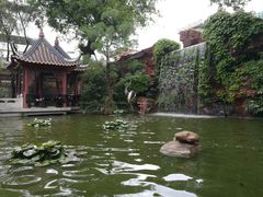 -碧江金楼