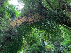 -海南热带野生动植物园