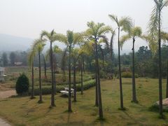 -黄色小屋