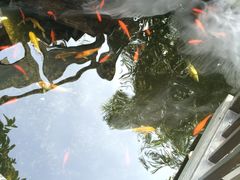 -三溪村