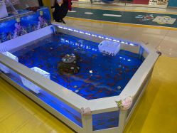 -皇家迪智尼(大融城店)