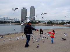 -台场海滨公园船码头