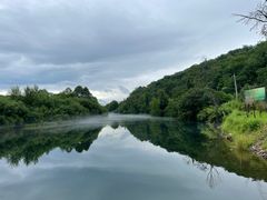 -喜来登采悦轩中餐厅