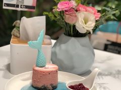 美人鱼小版-随心小姐