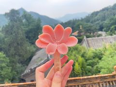 -潭柘寺景区