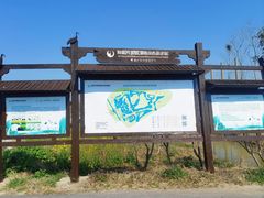 -盐城丹顶鹤湿地生态旅游区