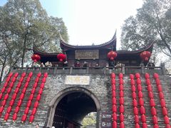 -桂湖森林公园