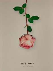 -MIDA蜜哒•科技逆龄美肤连锁