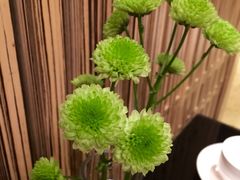 iphone_upload_pic-北京万达文华酒店