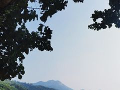 -南丫岛