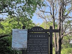 -阳台山自然风景区