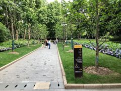 -徐家汇公园
