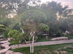 -会宾园·云山宴中餐