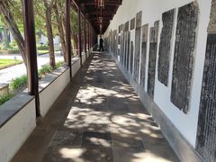 -苏州文庙(姑苏区)