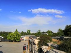 -鬼笑石后山停车场