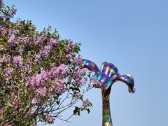 -群力丁香公园