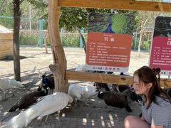 -水上乐园·欢乐世界