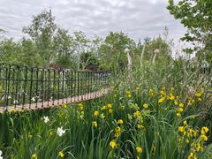 -前小桔亲子创意农场·草莓采摘·露营烧烤