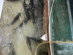 -静和鱼庄