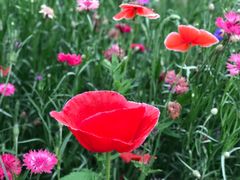 -盘龙城遗址博物院