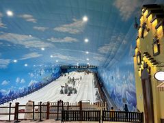 -世界之窗阿尔卑斯冰雪世界