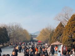 -晋祠公园