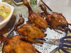 -石岐乳鸽村(南海第三分店)