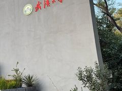 -武汉大学-樱园