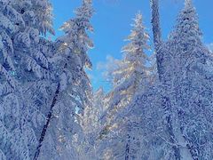 -中旅松花湖滑雪场
