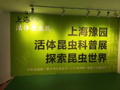-神奇动物撸宠馆·羊驼·小浣熊·异宠(豫园店)