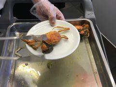 -南美元生态大酒店(海珠店)