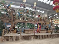 -南宫五洲植物乐园