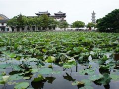 -普陀山慧济禅寺