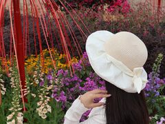 -东莞植物园
