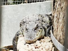-呀路古热带植物园