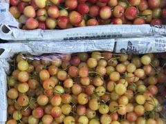 -江杨农产品批发市场