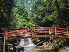 -华蓥山天意谷景区