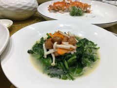 -皇朝尊会(龙之梦大酒店)