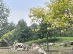 -北京野生动物园